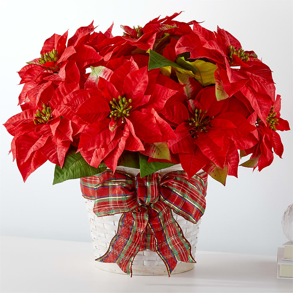 Happiest Holidays Poinsettia – BLOSSOMS & BOWS FLORIST & GIFTS, Springfield KY