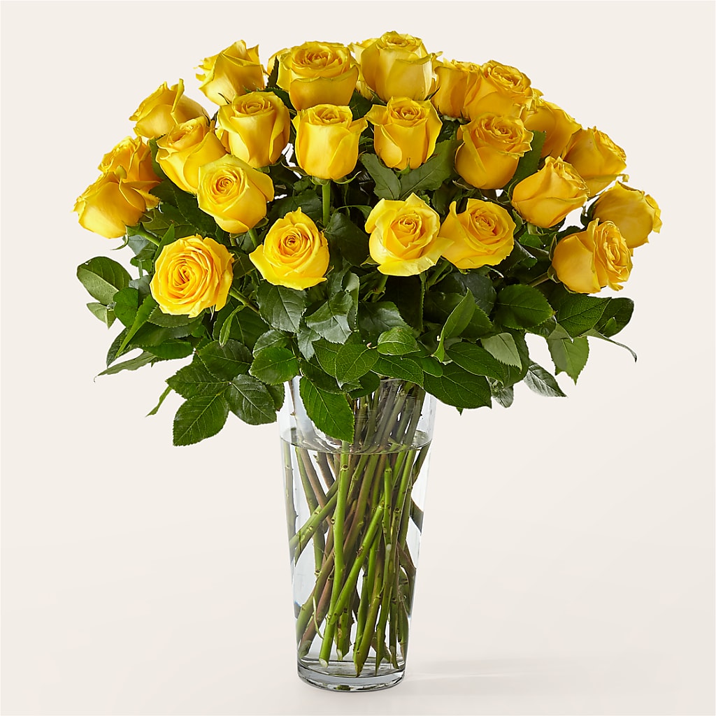 Long Stem Yellow Rose Bouquet – BLOSSOMS & BOWS FLORIST & GIFTS, Springfield KY