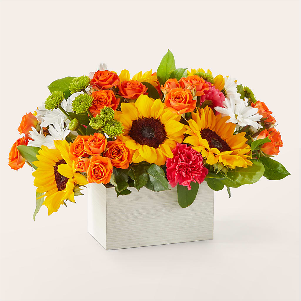 Sun-drenched Blooms Box Bouquet – BLOSSOMS & BOWS FLORIST & GIFTS, Springfield KY