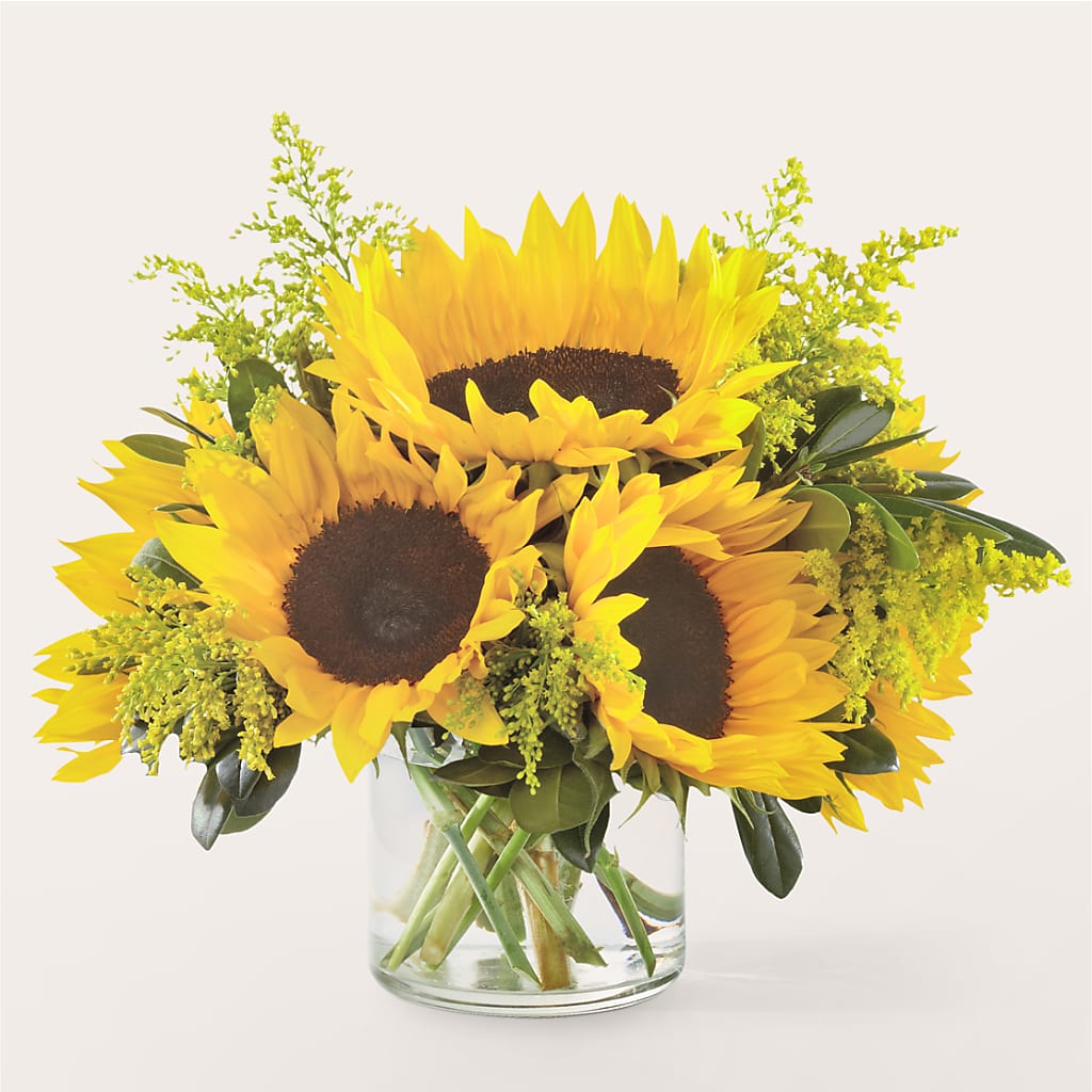 Beaming Sunflower Bouquet – BLOSSOMS & BOWS FLORIST & GIFTS, Springfield KY