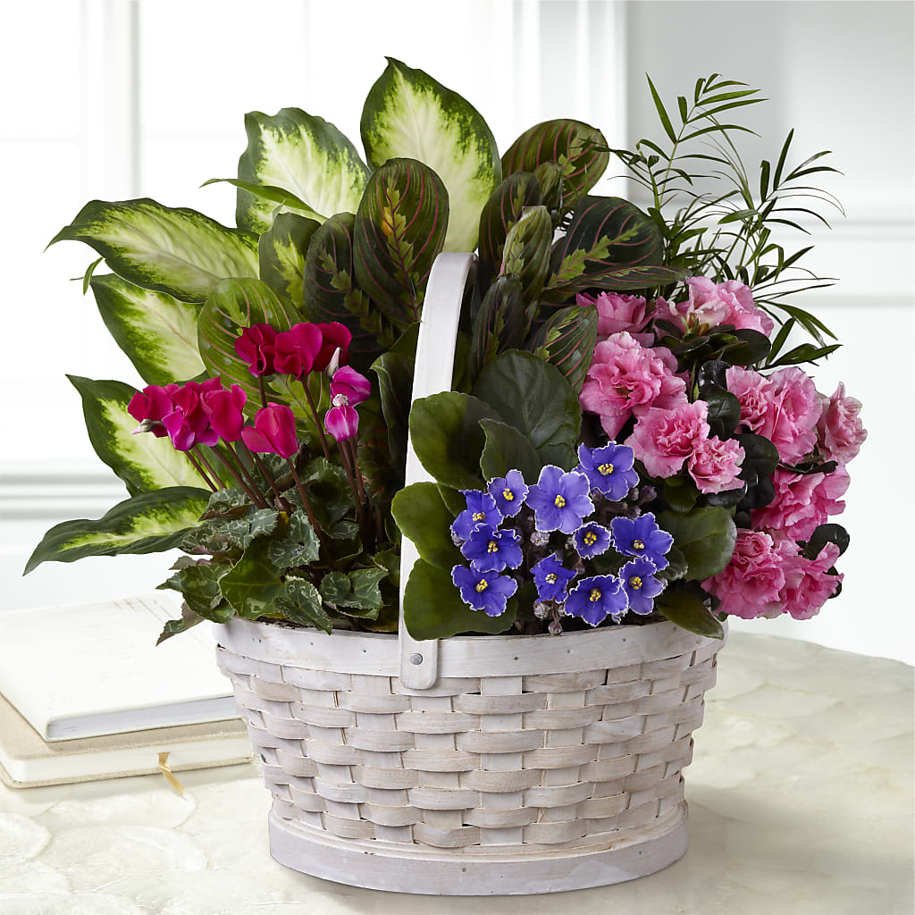Peaceful Garden Planter – BLOSSOMS & BOWS FLORIST & GIFTS, Springfield KY