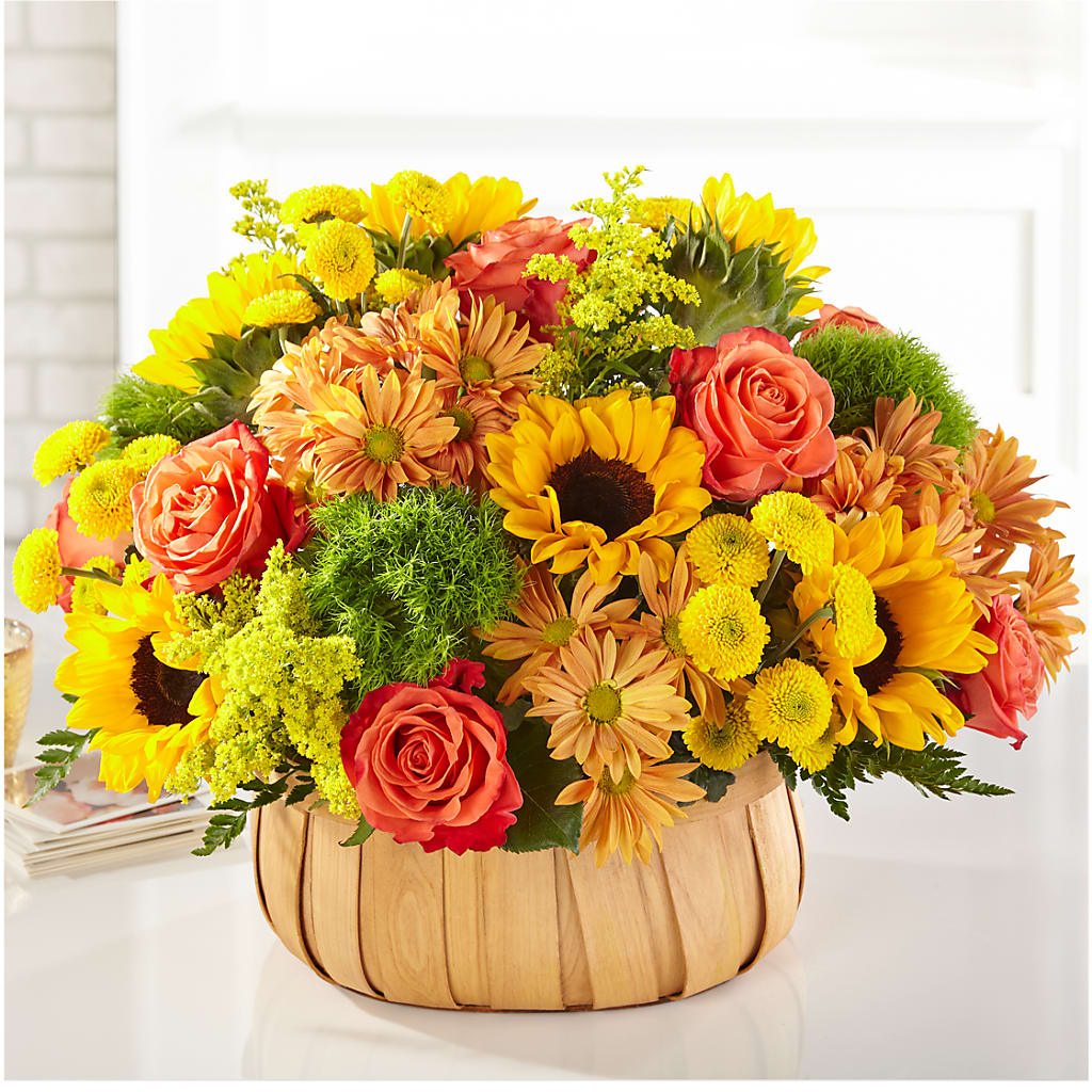Harvest Sunflower Basket – BLOSSOMS & BOWS FLORIST & GIFTS, Springfield KY