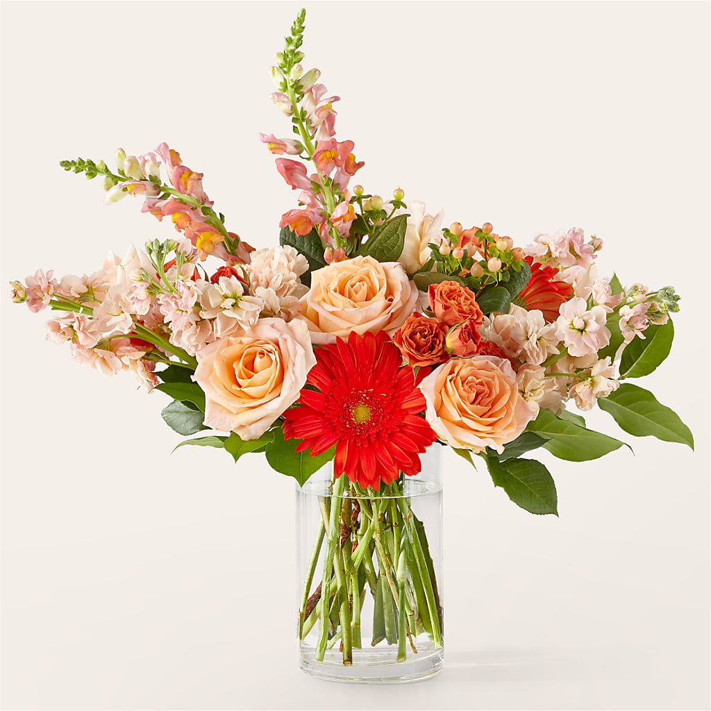Paloma Please Bouquet – BLOSSOMS & BOWS FLORIST & GIFTS, Springfield KY