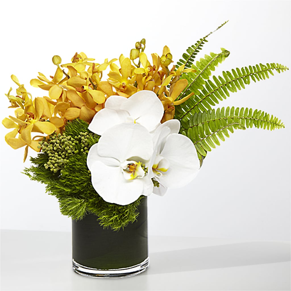 The Tropics – BLOSSOMS & BOWS FLORIST & GIFTS, Springfield KY