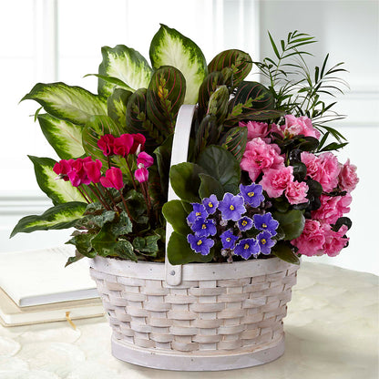 Peaceful Garden Planter – BLOSSOMS & BOWS FLORIST & GIFTS, Springfield KY