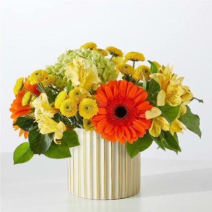 Autumn Sunshine Bouquet with Ivory Vase – BLOSSOMS & BOWS FLORIST & GIFTS, Springfield KY