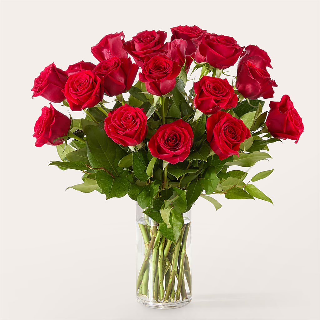 The One Red Rose Bouquet – BLOSSOMS & BOWS FLORIST & GIFTS, Springfield KY