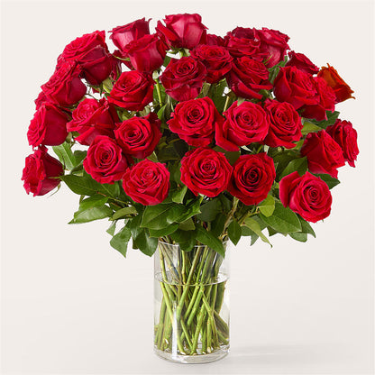 The One Red Rose Bouquet – BLOSSOMS & BOWS FLORIST & GIFTS, Springfield KY