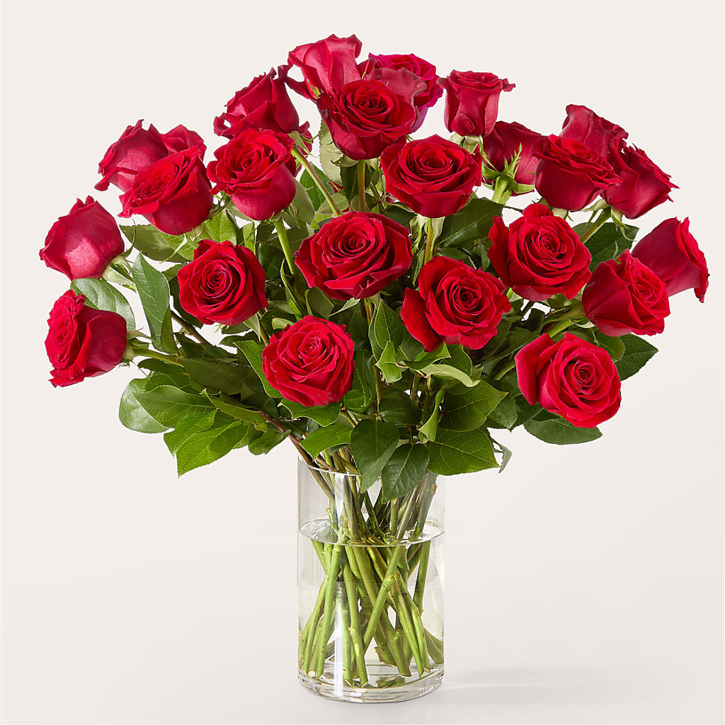 The One Red Rose Bouquet – BLOSSOMS & BOWS FLORIST & GIFTS, Springfield KY