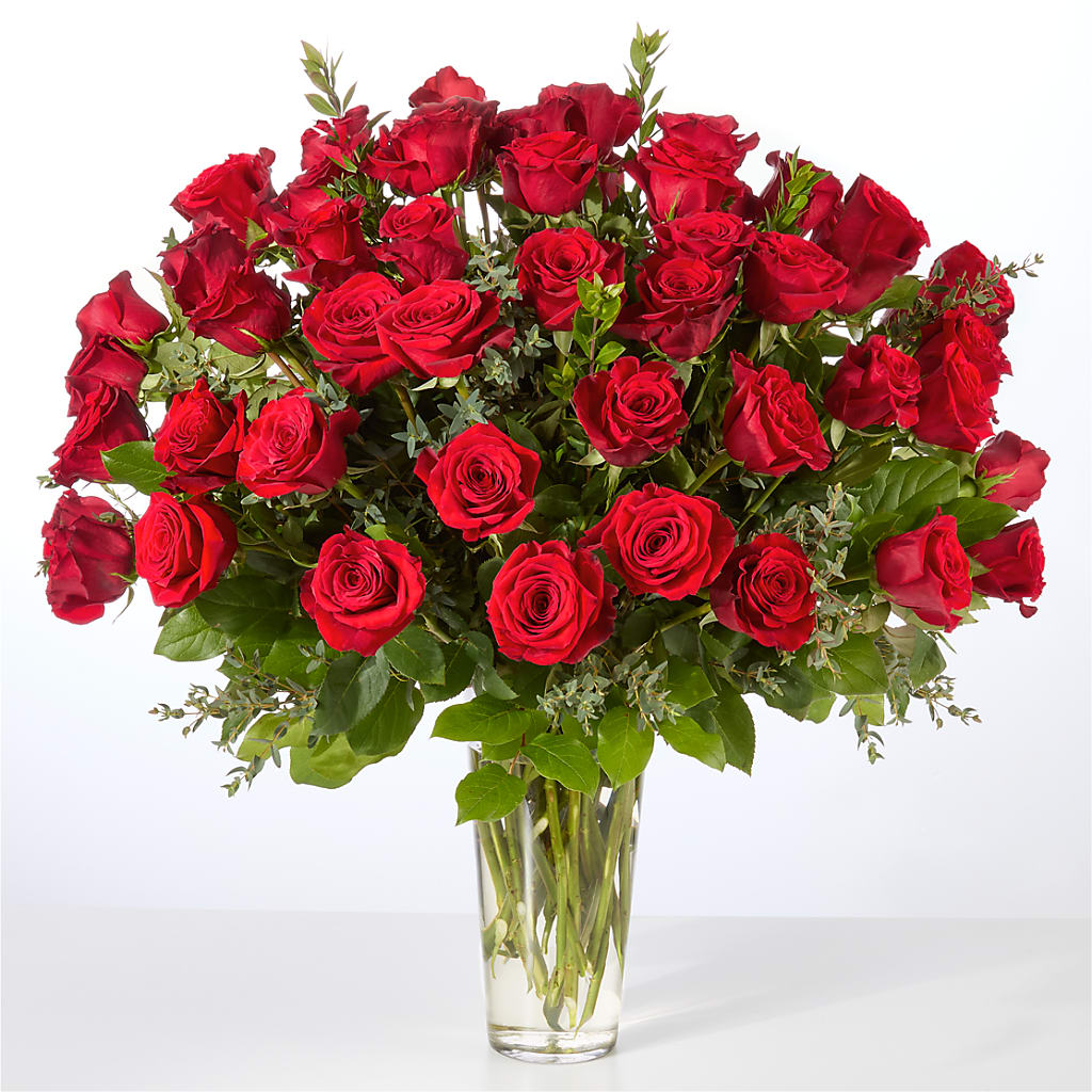 Forever Yours Fifty Stem Red Rose Bouquet – BLOSSOMS & BOWS FLORIST & GIFTS, Springfield KY