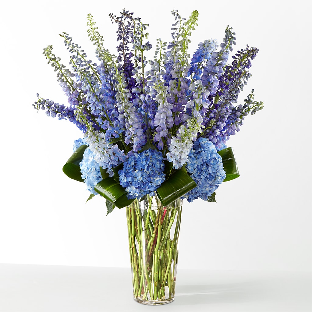 The Editorial – BLOSSOMS & BOWS FLORIST & GIFTS, Springfield KY